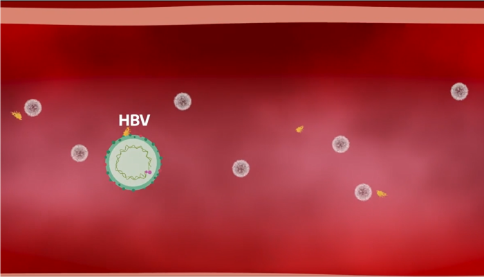 Hepatitis B