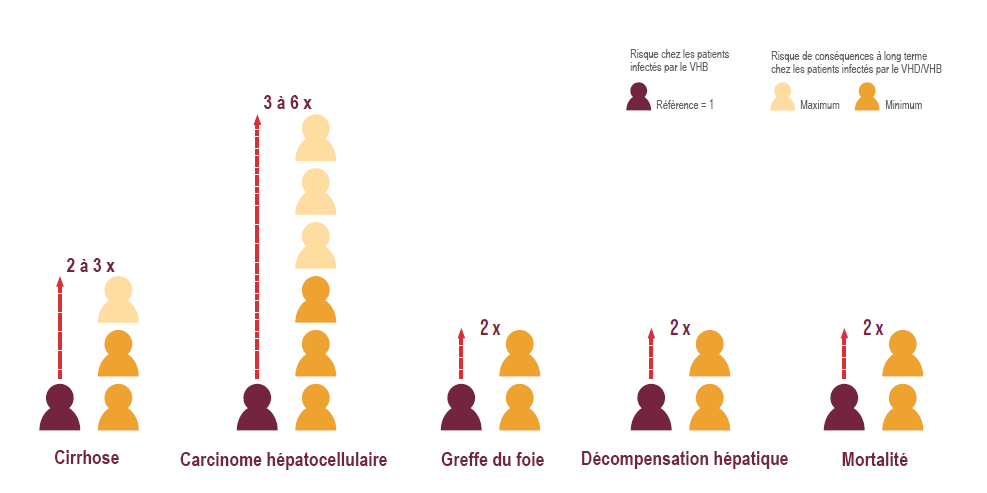 BE-UNB-0696 hepatite-d-consequences