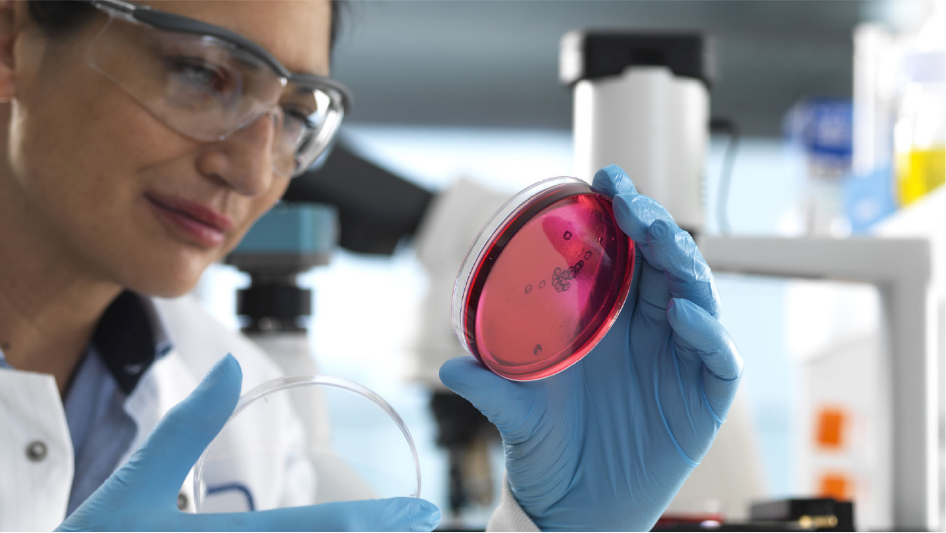 research_development_img