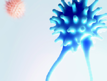 Illustratie van immuuncellen die kankercellen aanvallen